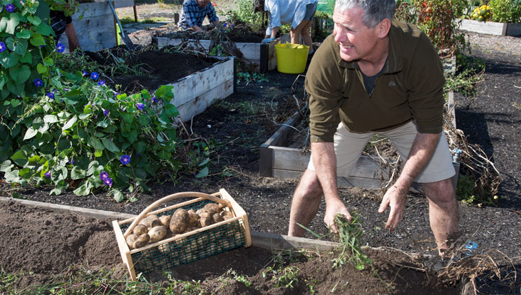 Employee working in raised bed