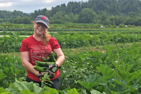 Gleaning zucchini at Jericho Settlers Farm