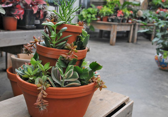 Succulents in stacked terra cotta planters 