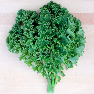 Dwarf Green Curled kale