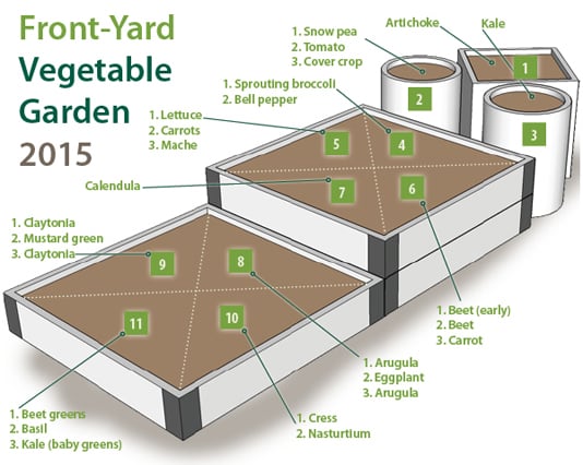 Planting plan for urban garden