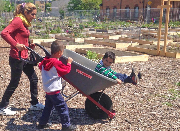 Gardeners with wheelbarrow