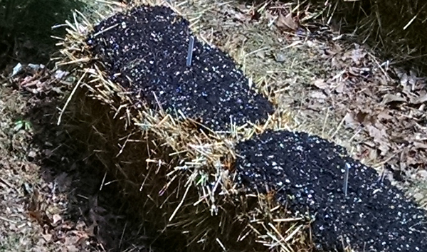 Straw bale prepared for seedlings