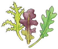 Mesclun