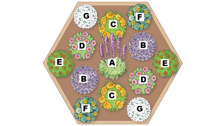 butterfly garden diagram