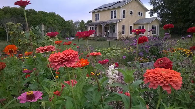 Charlie Nardozzi flower garden