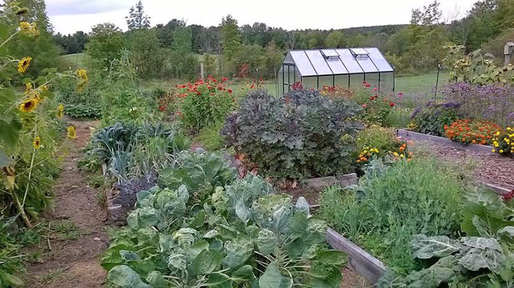 Charlie Nardozzi raised bed gardens