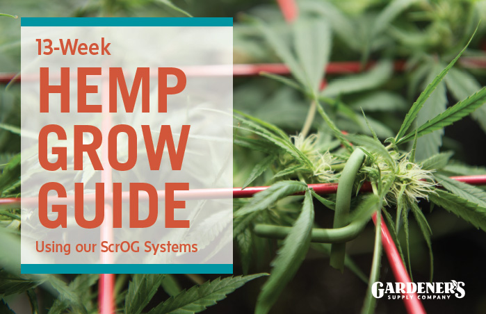 Hemp Growing Guide