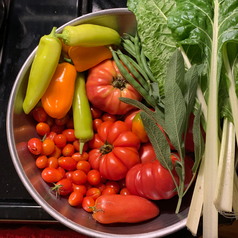 Vegetable harvest