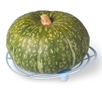 Image of Squash Cradle