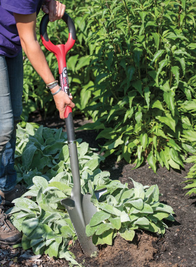 Woman using Root Slayer Shovel