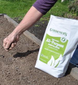 Someone spreading fertilizer in raised bed