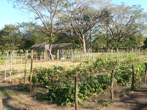 Tierra Pacifica