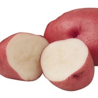 Red Cloud potato