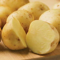 Yukon Gold potato