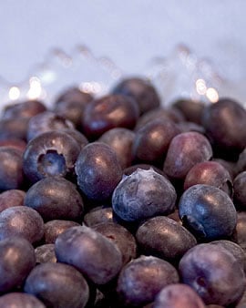 Blueberries for Raised Beds