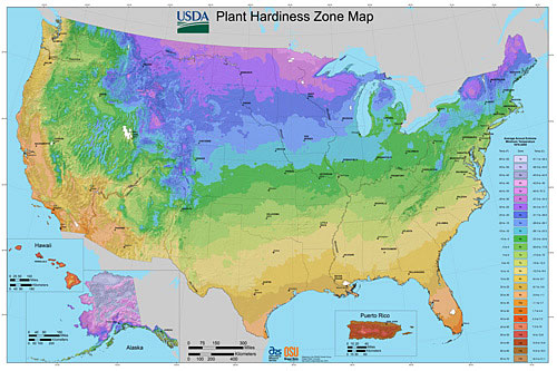 USDA hardiness zone map