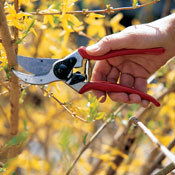 pruners