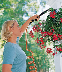 Hanging basket