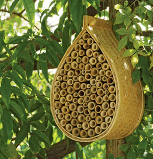 Mason Bee House