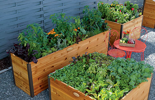 Elevated Raised Beds