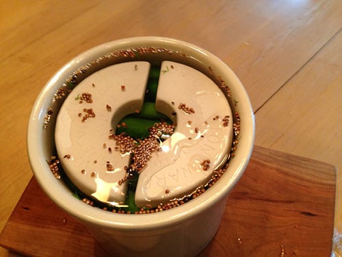 weights placed on top of cucumbers in a crock 