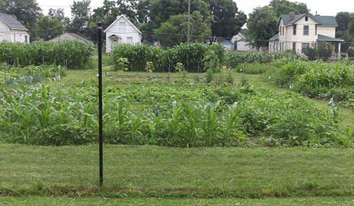 6th Street Growing Community Gardens