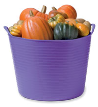 Tubtrug of squash