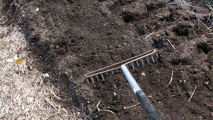 Raking soil