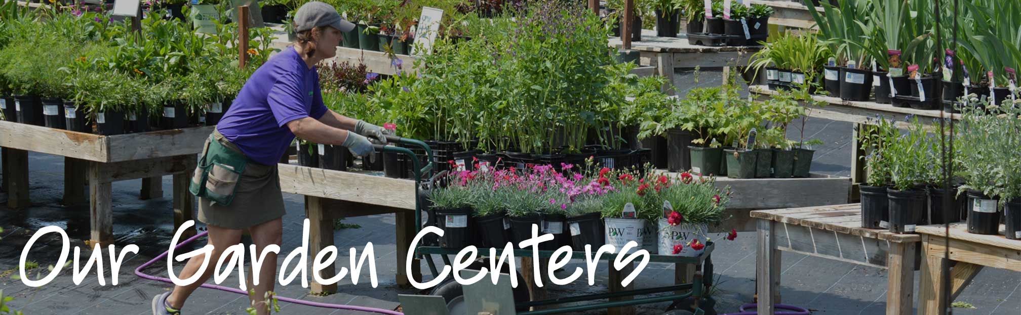 Garden Center employee pushing flower cart on grounds