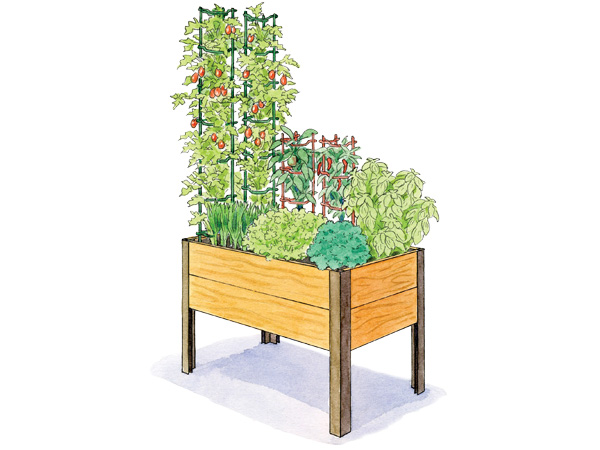 Salsa Garden 2x4 Illustration