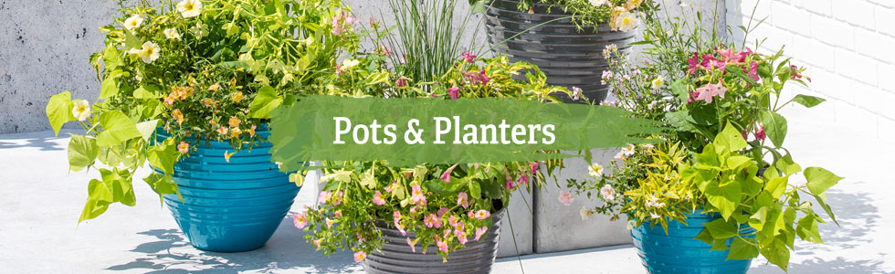 Pots & Planters - Gardeners